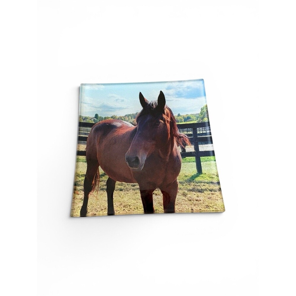 Glass Horse Trinket Dish 4.5” x 4.5”Square Equestrian Brown Mare / Gelding Horse